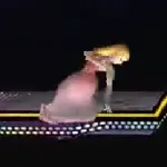 Air dodge Interrupts and Angeldash (Lustdash/Lemondrop)